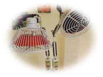 Heilpraktiker nahe Mainz