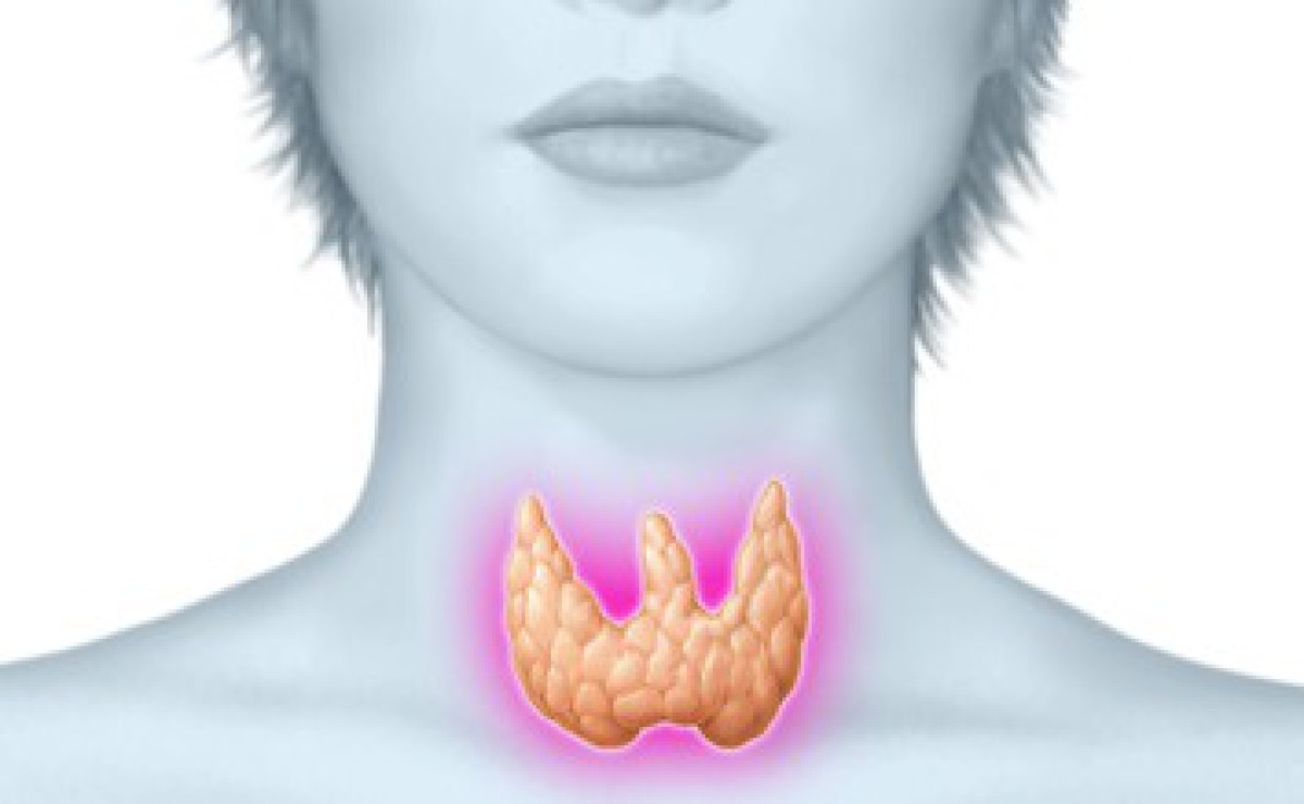 Hashimoto Mainz, Alternativmedizin