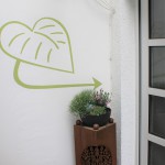 Hormontherapie Schilddrüse Naturheilpraxis