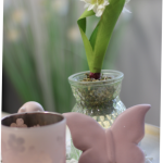 Naturheilpraxis Beate Borgs